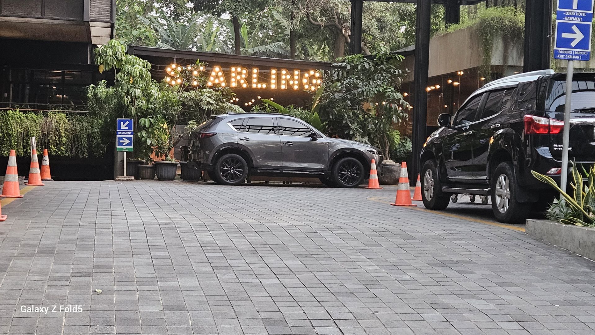 Starling Eatery